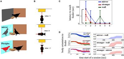 Mirror Self-Recognition in Pigeons: Beyond the Pass-or-Fail Criterion